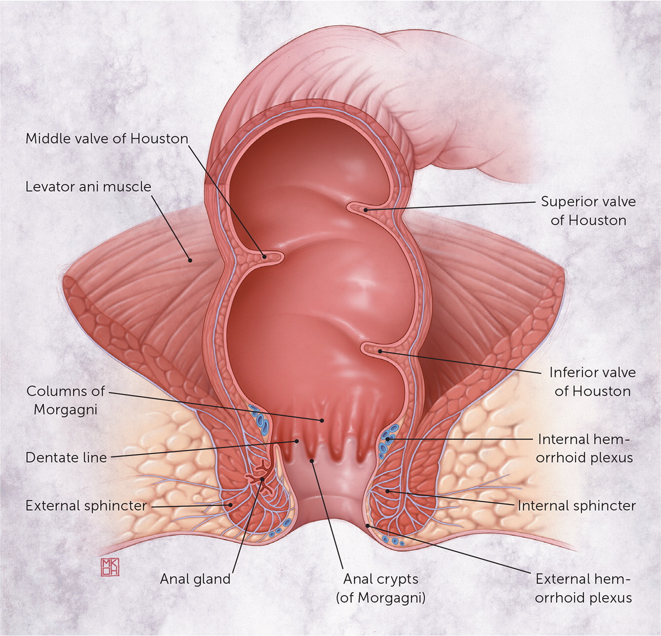 Painful lump near anus