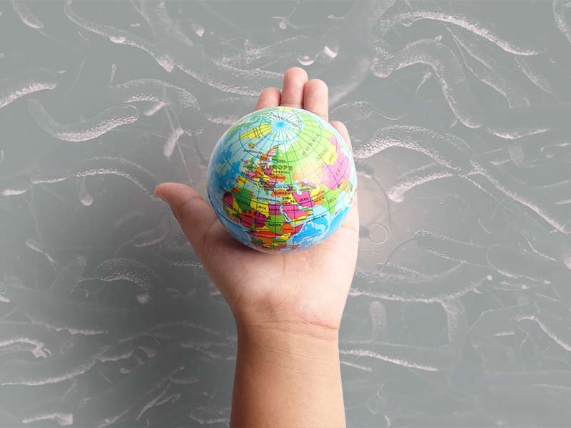 a miniture globe sits in the palm of a hand