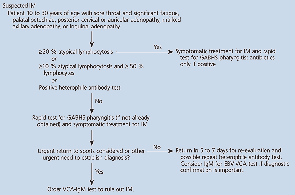 Epstein Barr Virus Infectious Mononucleosis AAFP