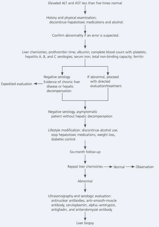 Mildly Elevated Liver Transaminase Levels In The Asymptomatic Patient 