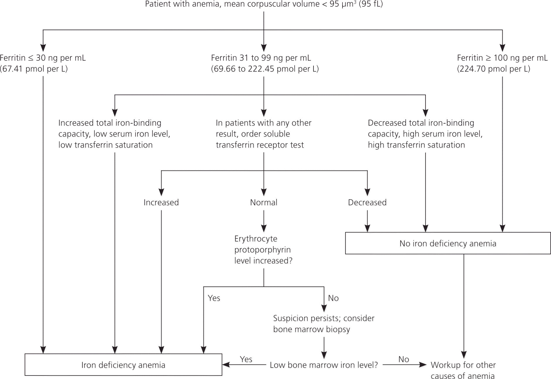 Iron Deficiency Anemia Evaluation And Management AAFP