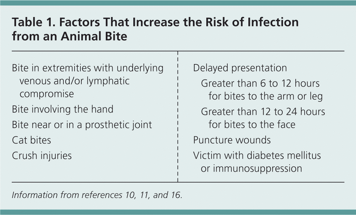 do dog bites require antibiotics