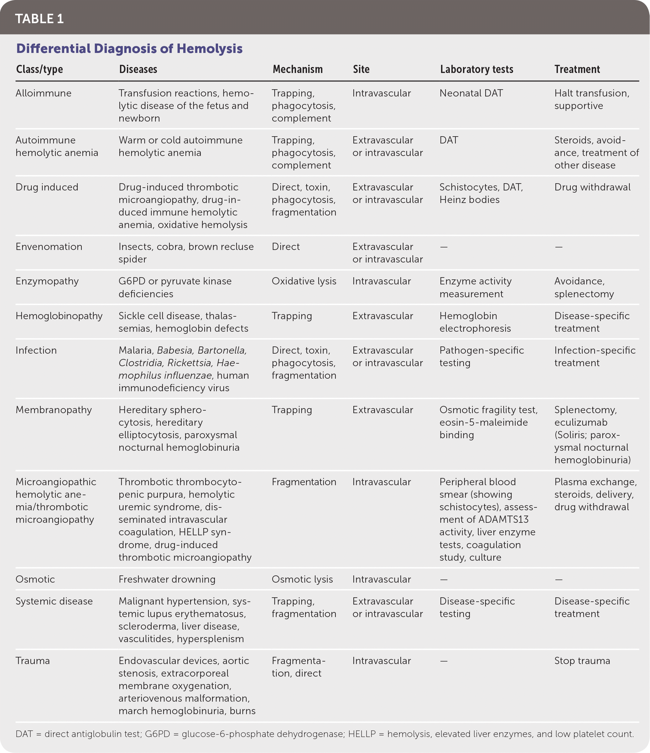 Hemolytic Anemia Evaluation And Differential Diagnosis AAFP