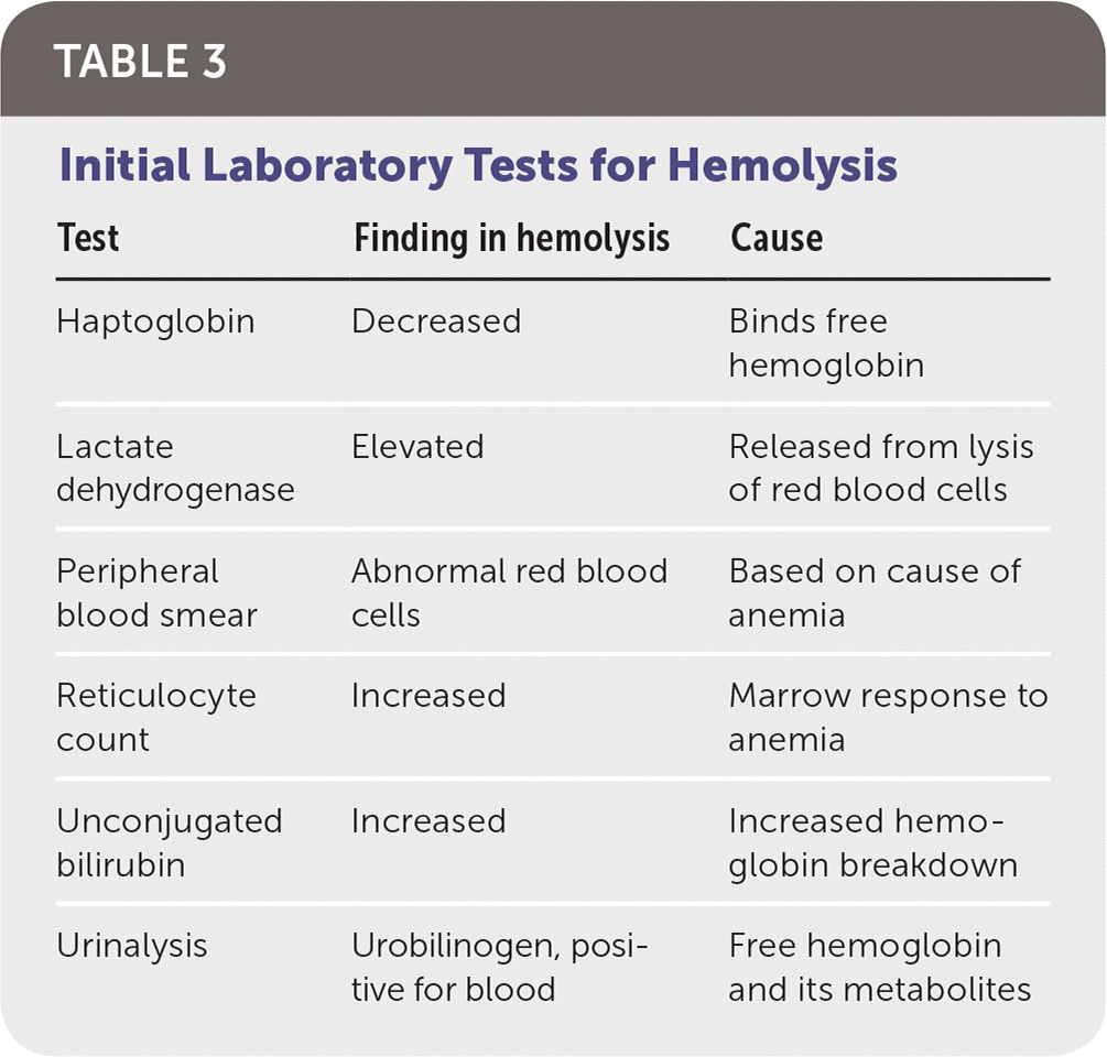 Hemolytic Anemia Evaluation And Differential Diagnosis AAFP