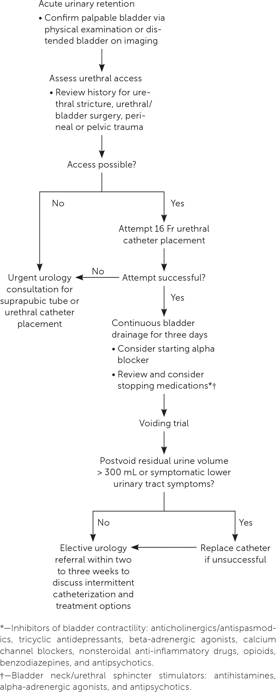 PDF) Postpartum urinary retention after vaginal delivery