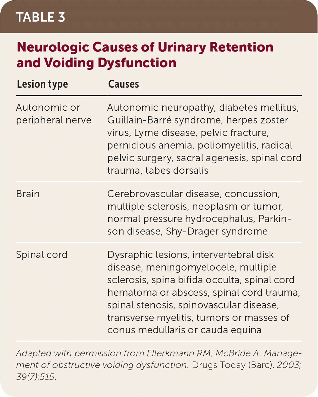 Urinary Retention In Adults Evaluation And Initial Management AAFP