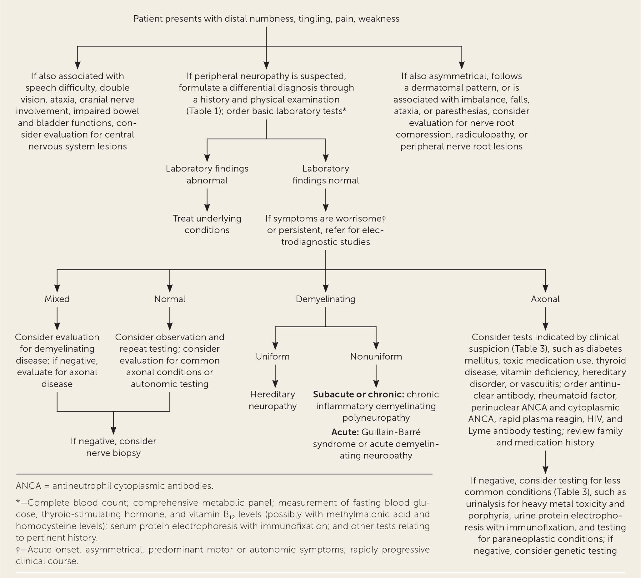 Peripheral Neuropathy Evaluation And Differential Diagnosis AAFP