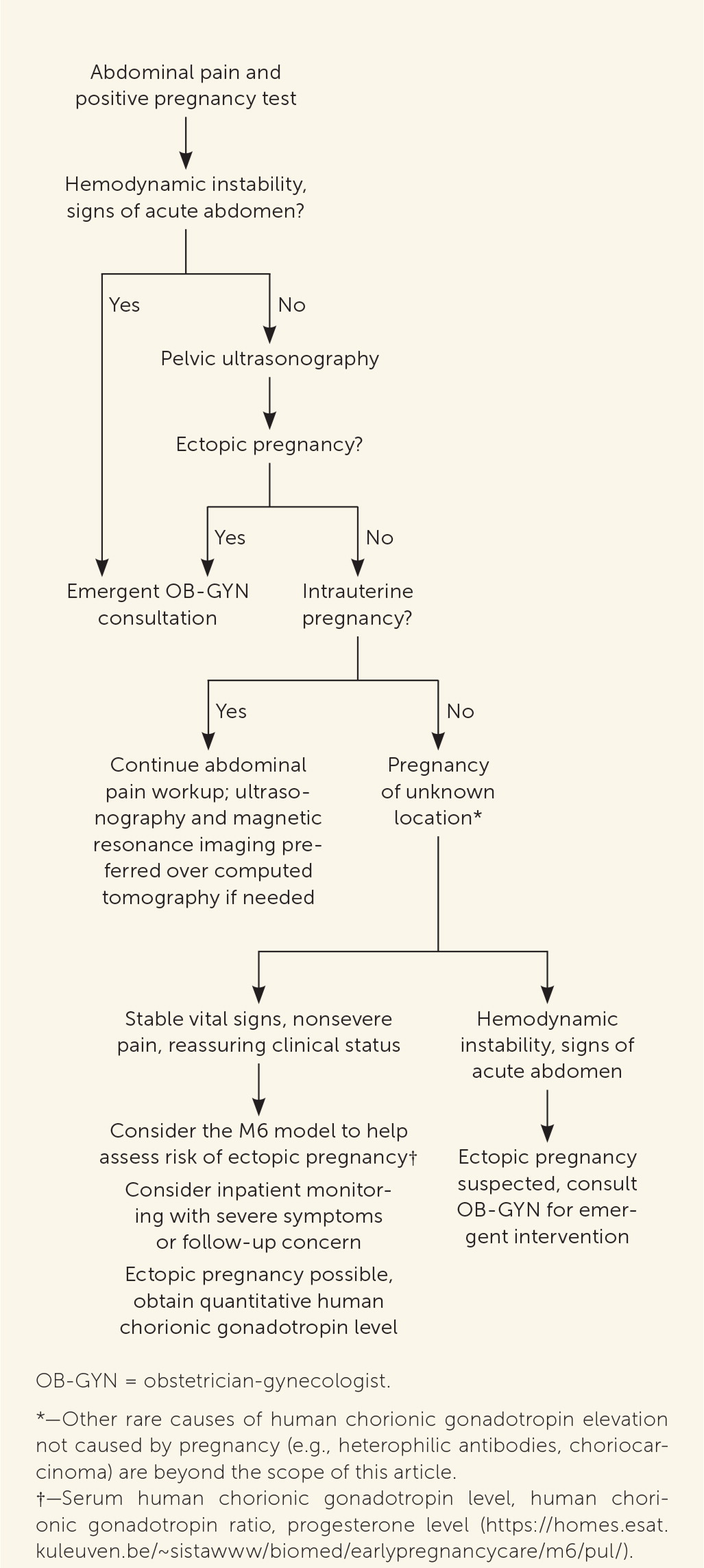 Acute Abdominal Pain in Adults: Evaluation and Diagnosis | AAFP