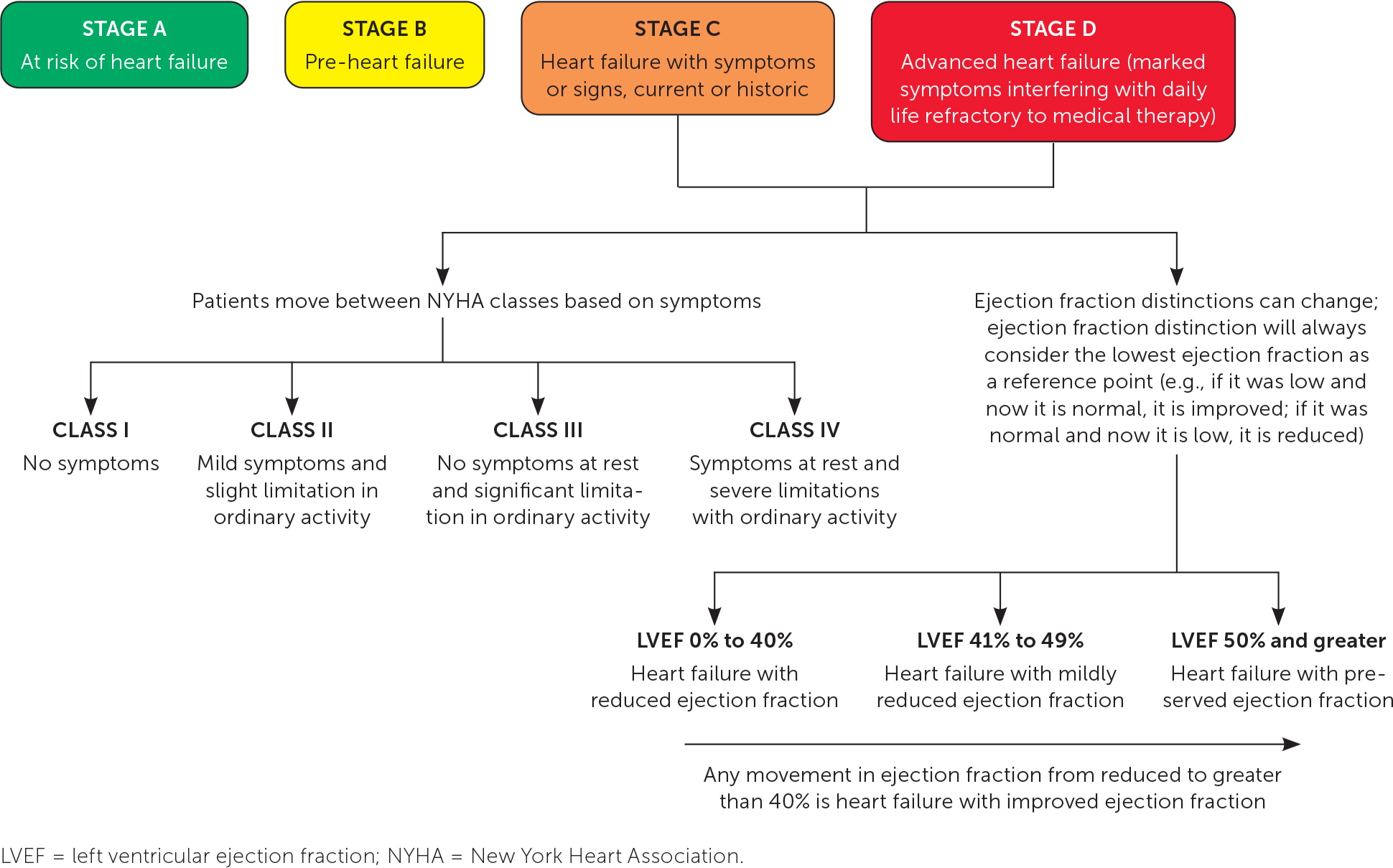 Management of Heart Failure Updated Guidelines From the AHA/ACC AAFP