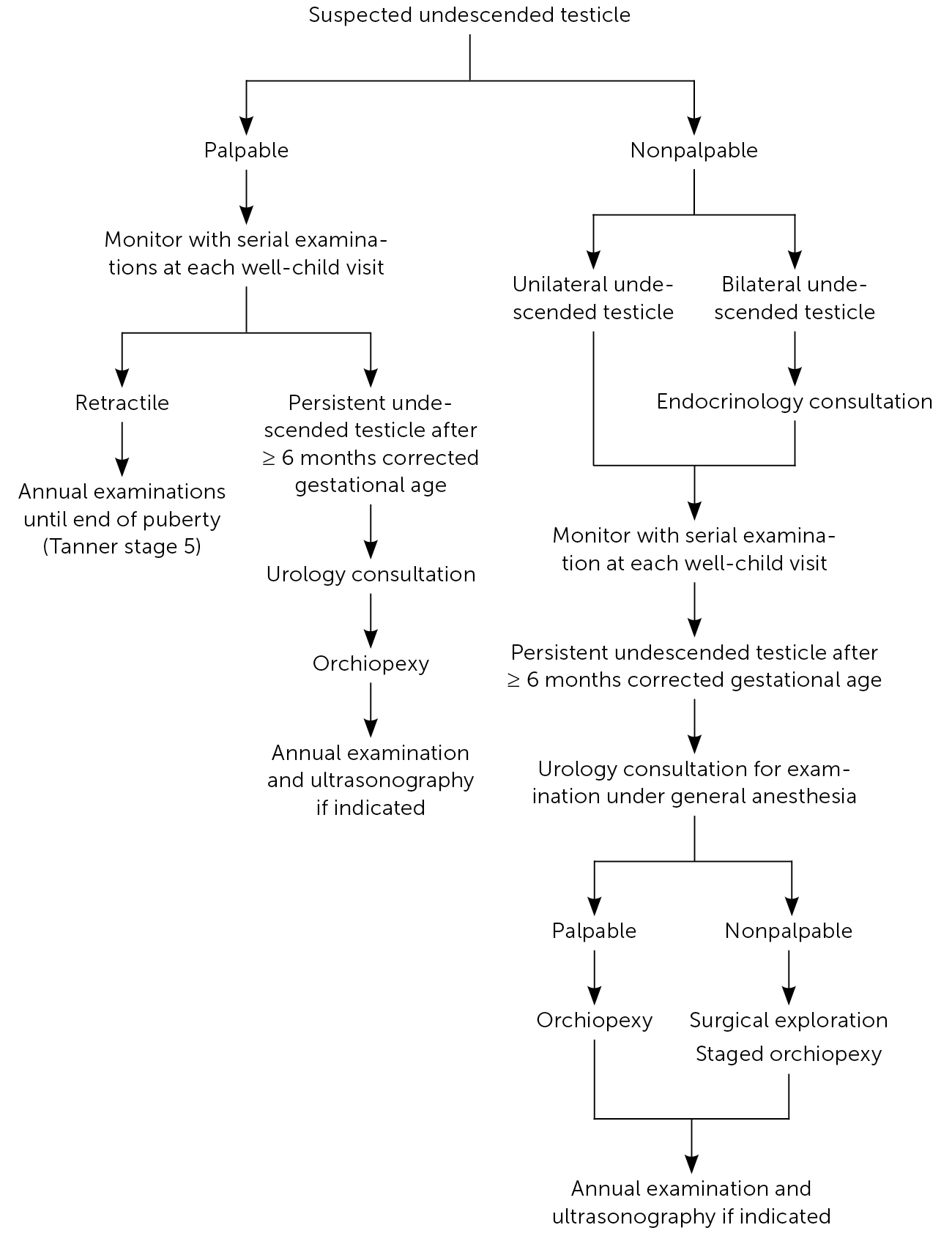 Cryptorchidism Undescended Testicle Aafp