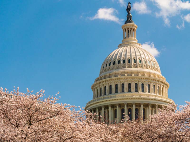 AAFP Eyes Medicare Payment Win in New Legislation | Advocacy & Government